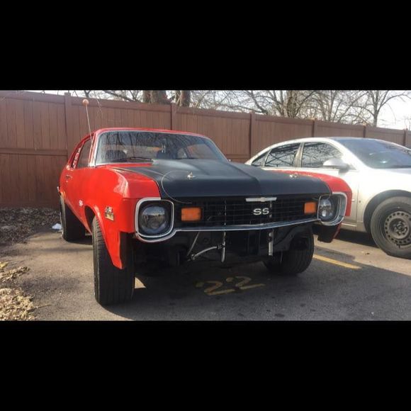 Meet your Posher, Joey - Picture 1 of 1